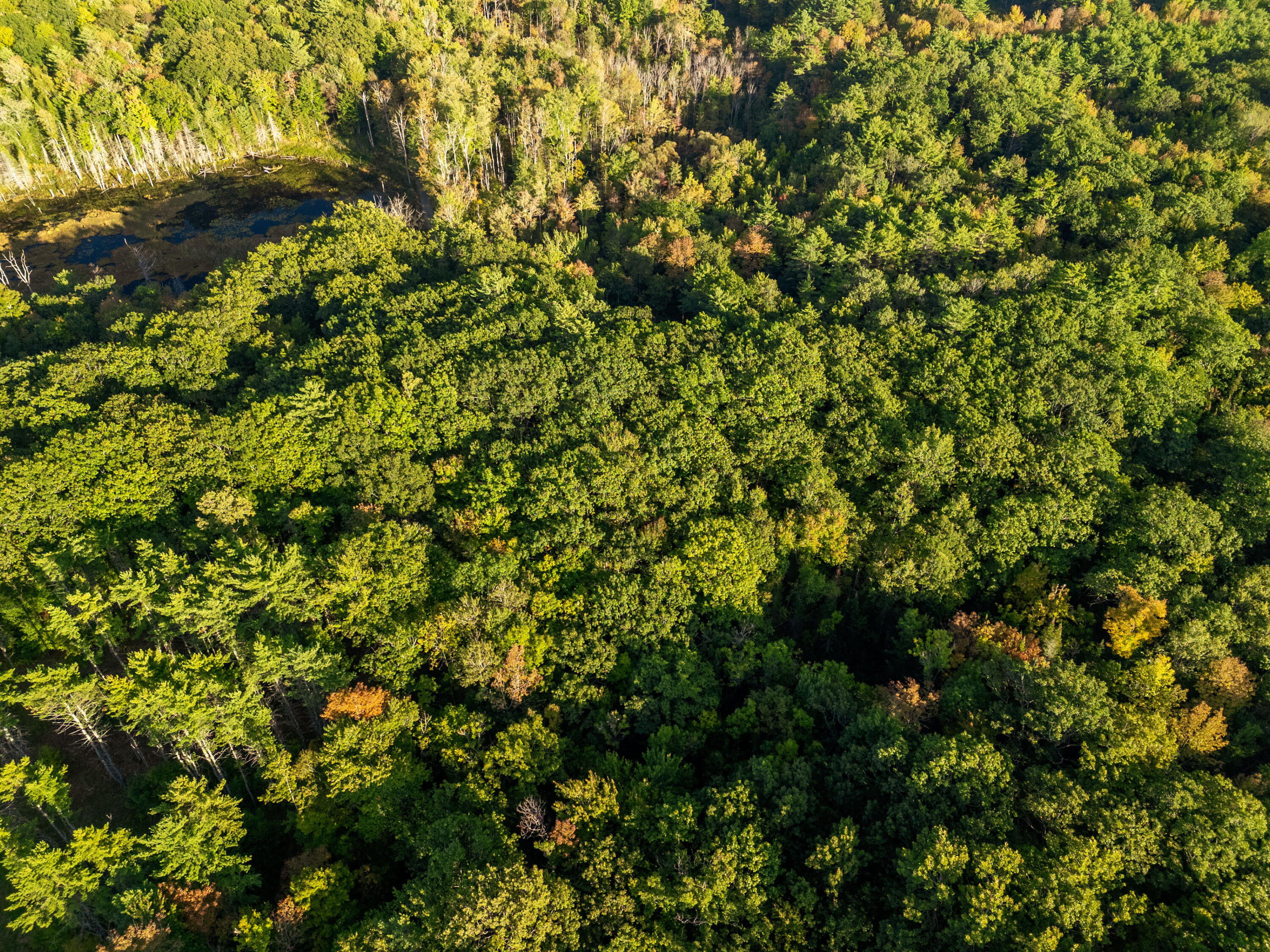 14 Webb Road Pittston, ME 04345 - Photo 14 of 16 Photo_14