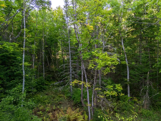 $99,850 | 14 Webb Road, Pittston, ME 04345