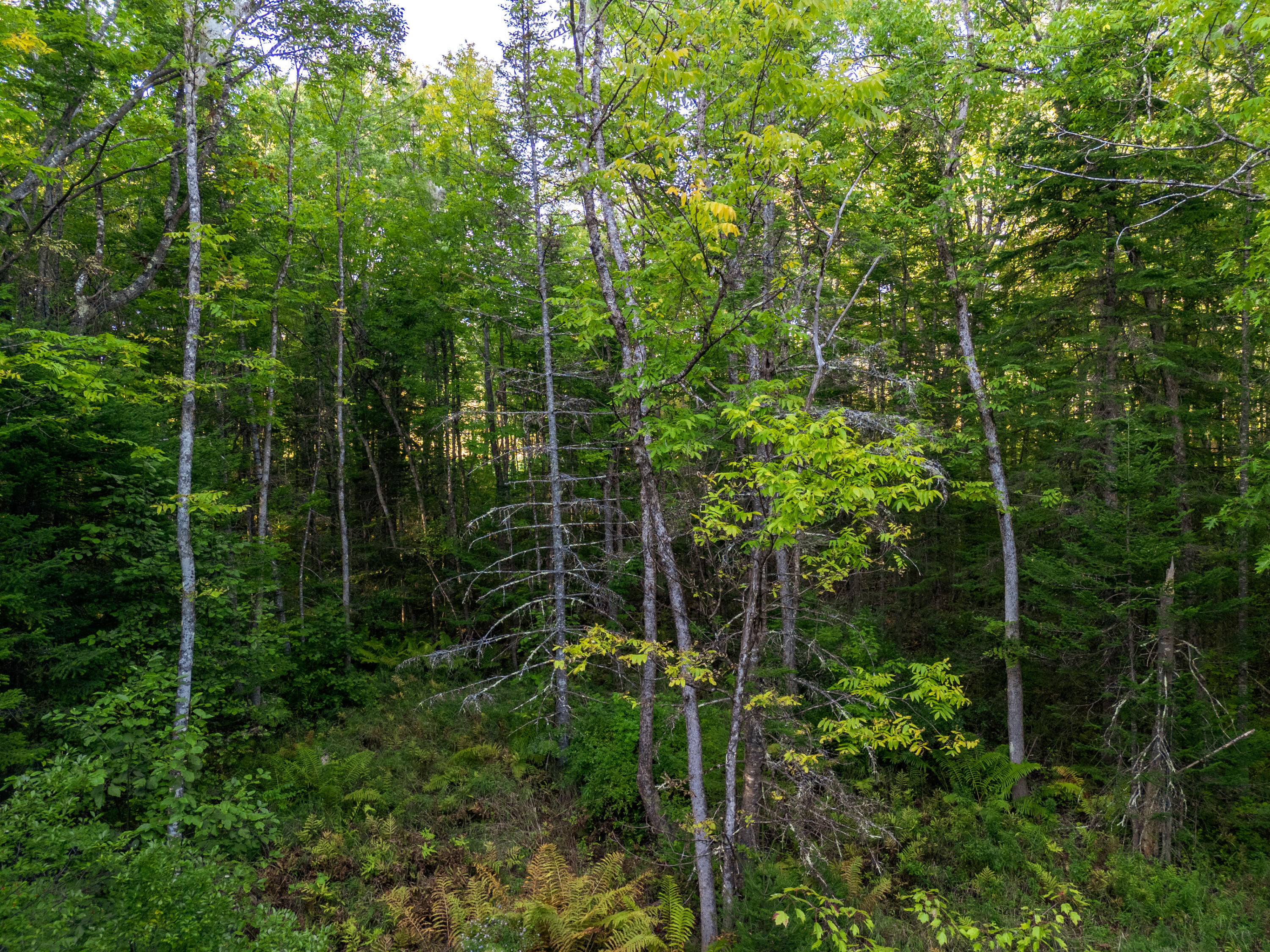 14 Webb Road Pittston, ME 04345 - Photo 15 of 16 Photo_15