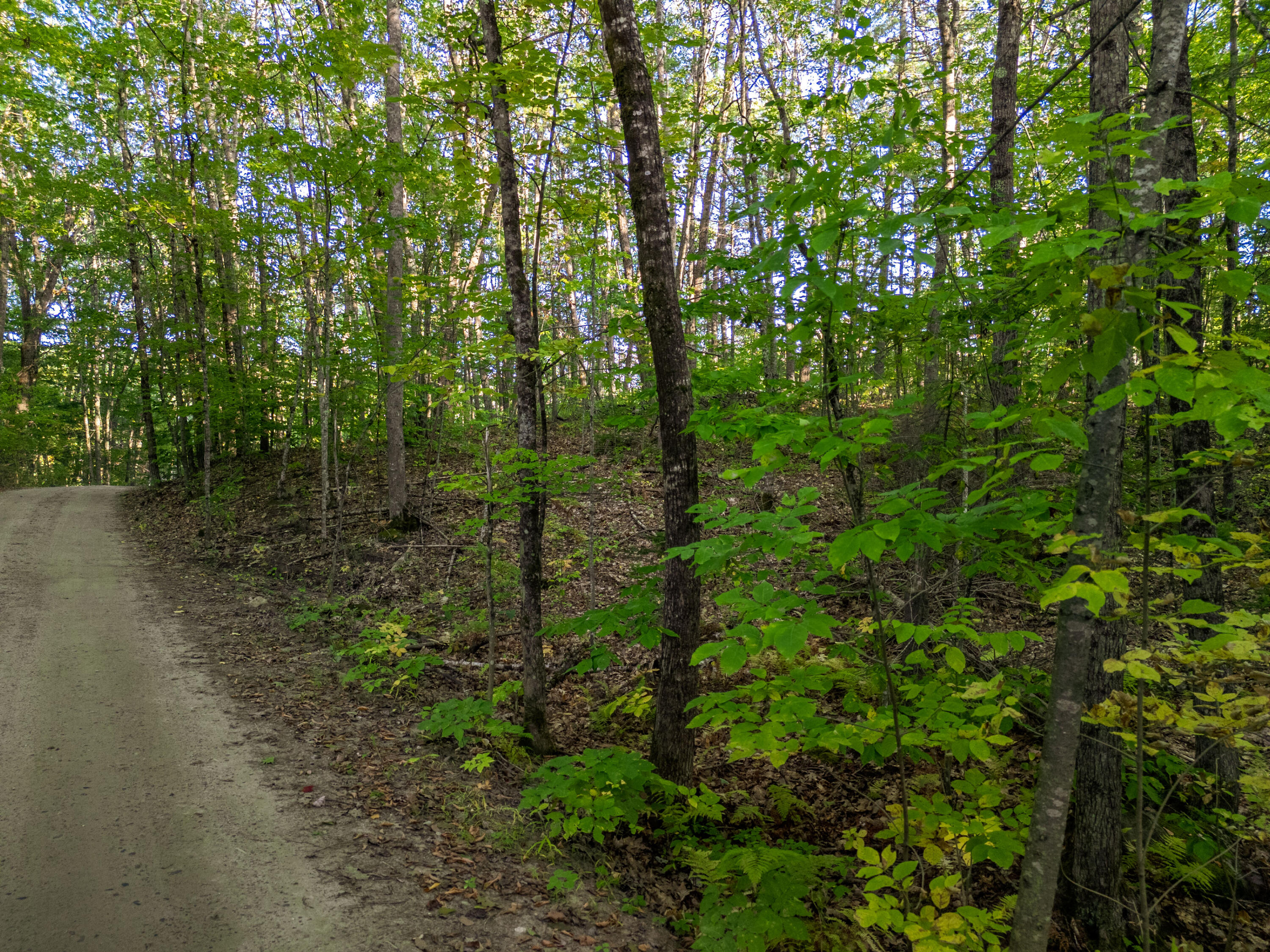 14 Webb Road Pittston, ME 04345 - Photo 16 of 16 Photo_16