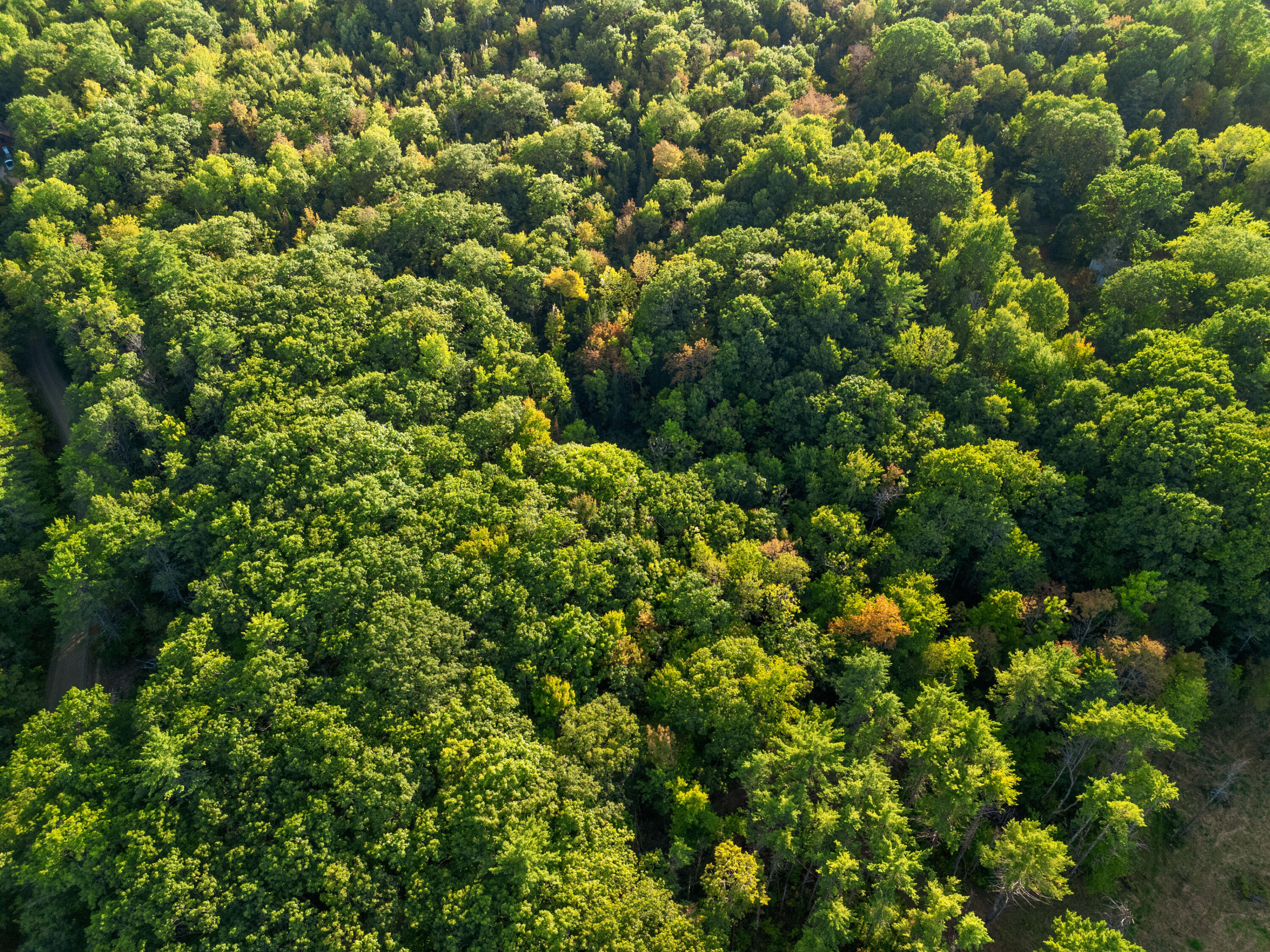 14 Webb Road Pittston, ME 04345 - Photo 5 of 16 Photo_05