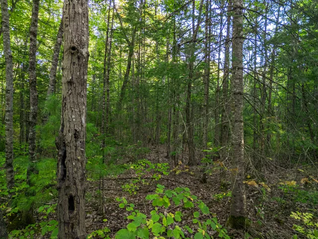 $99,850 | 14 Webb Road, Pittston, ME 04345