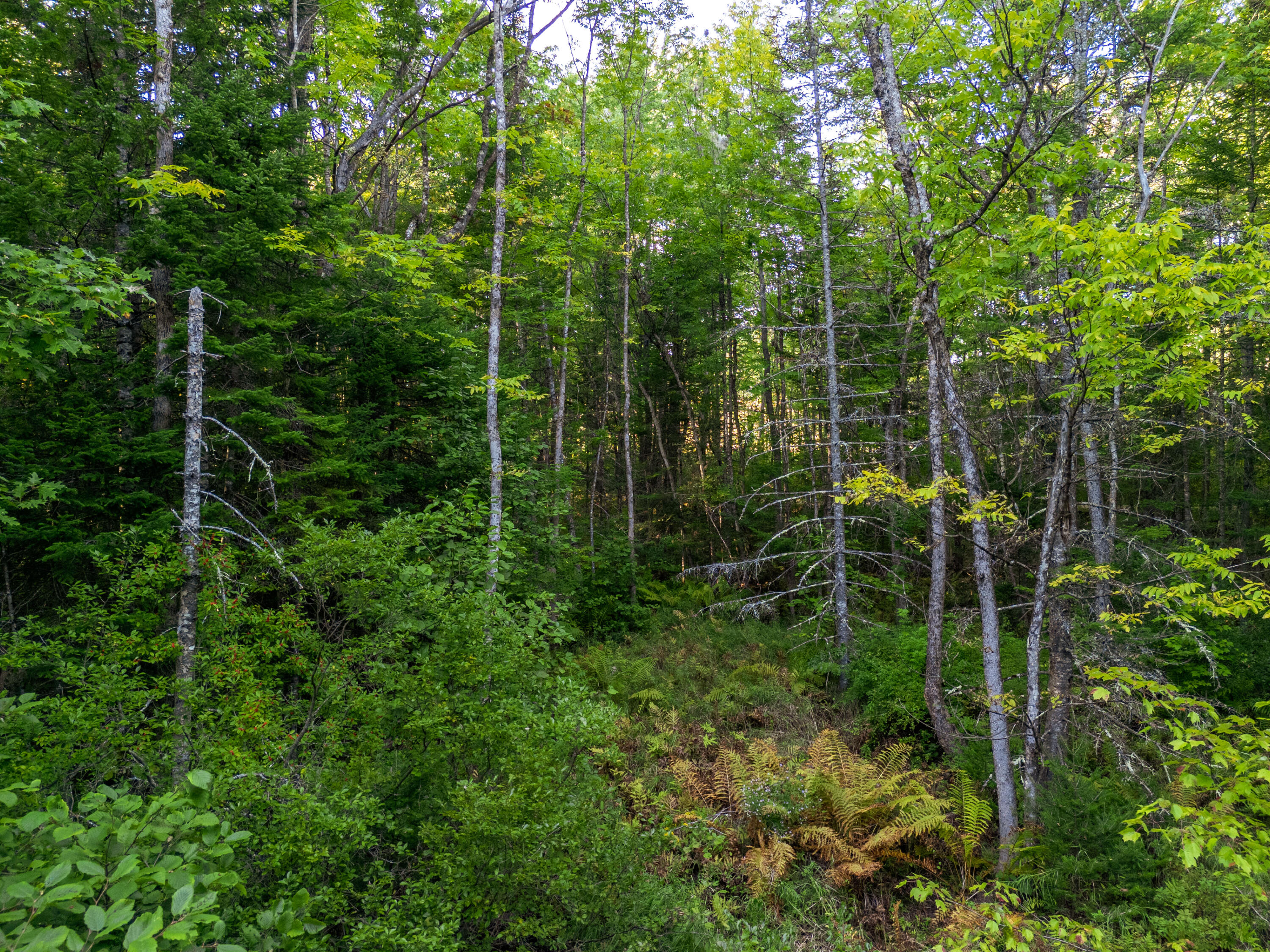 14 Webb Road Pittston, ME 04345 - Photo 7 of 16 Photo_07