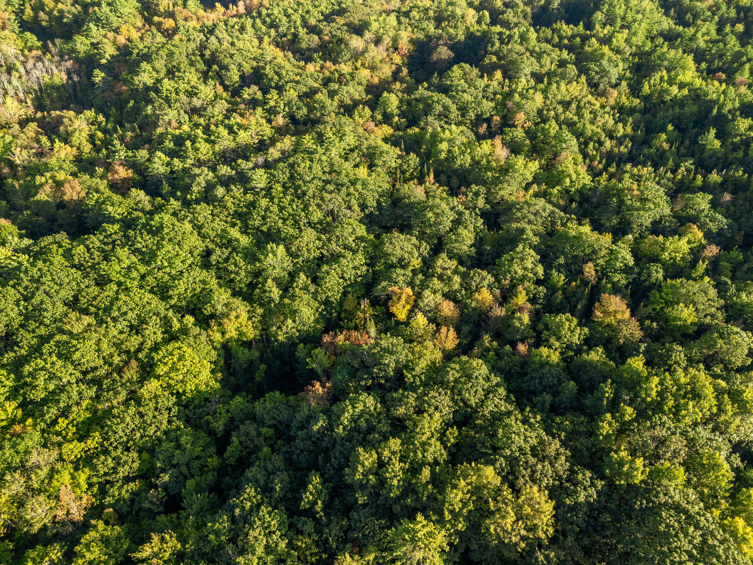 14 Webb Road Pittston, ME 04345 - Photo 9 of 16 Photo_09