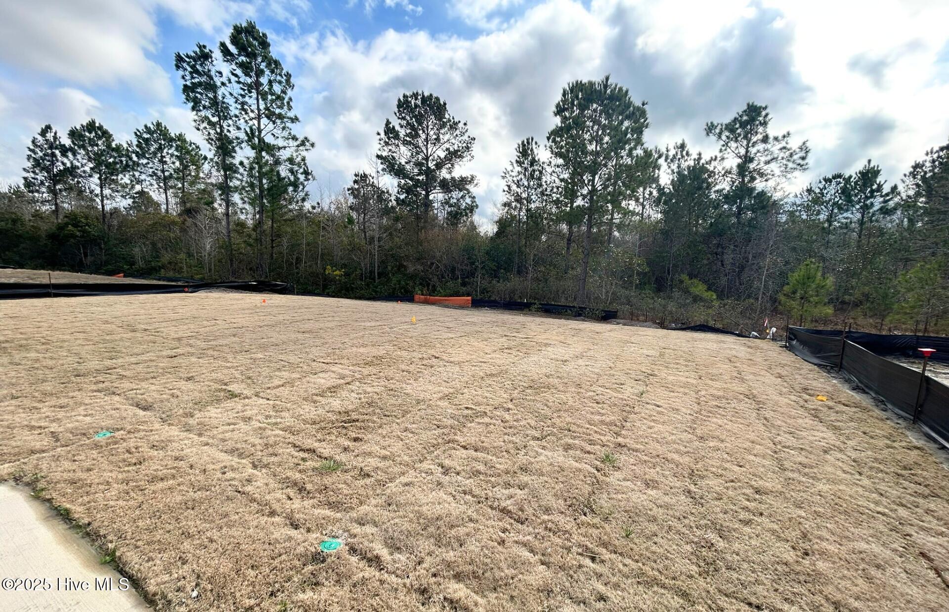 7523 Gorse Drive, Unit 38 Leland, NC 28479 - Photo 4 of 52 Private Backyard!