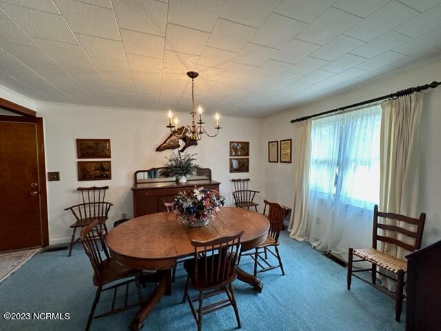 6775 Highway 32 Roper, NC 27970 - Photo 5 of 36 IMG_7560