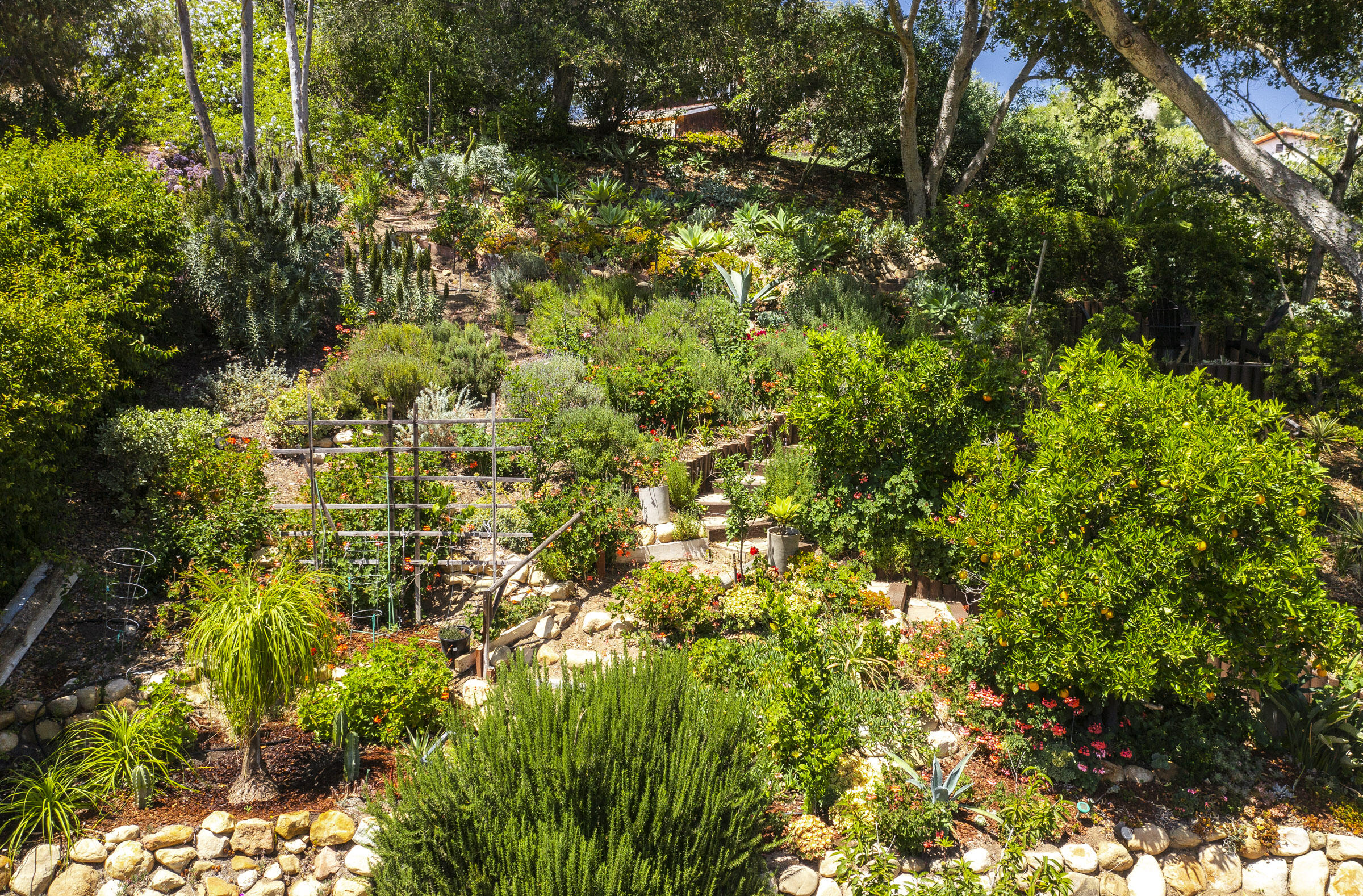 1118 Manitou Road Santa Barbara, CA 93101 - Photo 12 of 33 1118 Manitou_0011