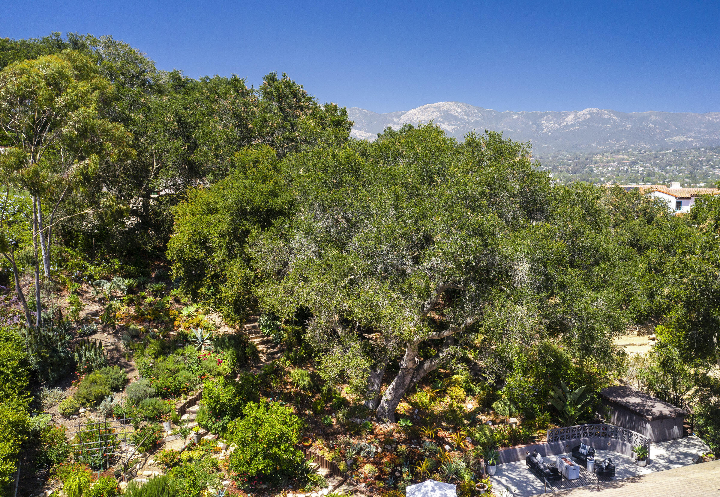 1118 Manitou Road Santa Barbara, CA 93101 - Photo 7 of 33 1118 Manitou_0006