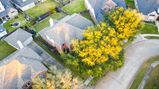 a view of a flower arrangement in backyard