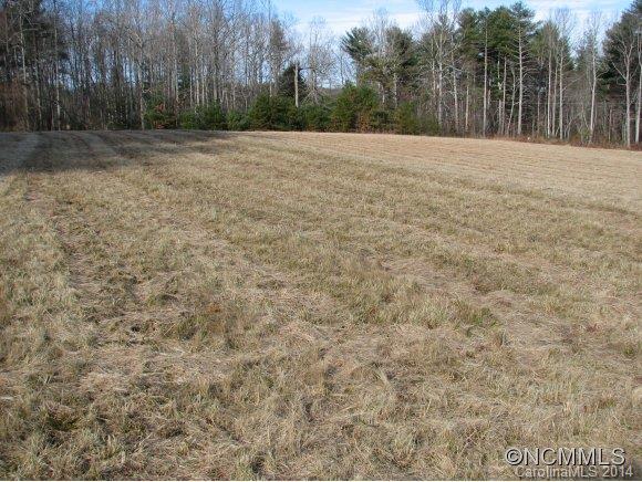 1369 North Ridge Road Hendersonville, NC 28792 - Photo 13 of 15