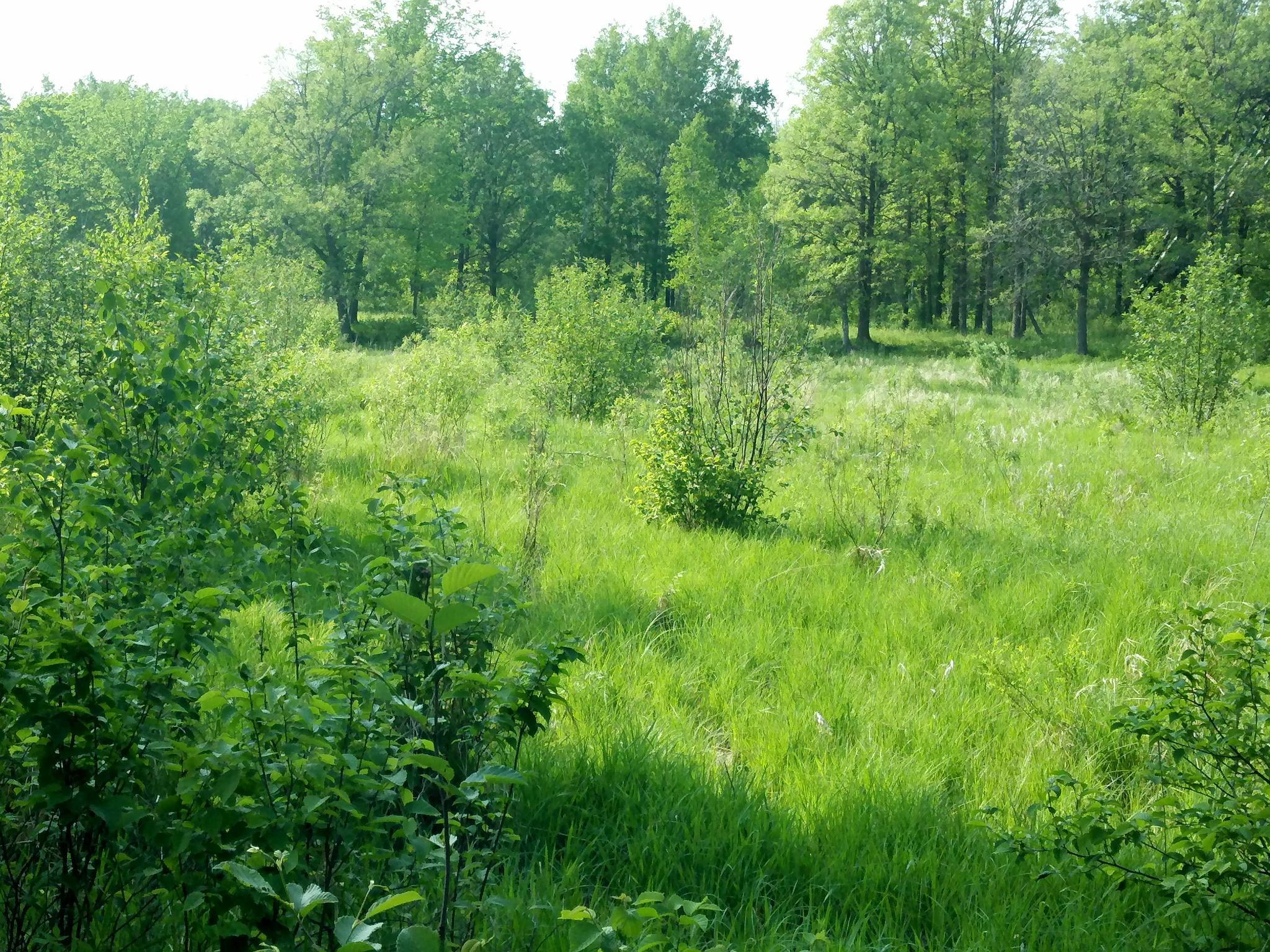 10005 Rice Road Brook Park, MN 55007 - Photo 3 of 8