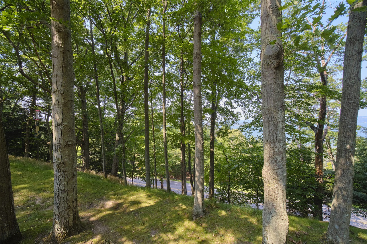 2521 Crescent Beach Road Manistee, MI 49660 - Photo 33 of 72