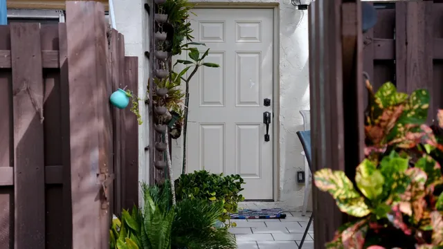 a potted plant sitting in front of a door