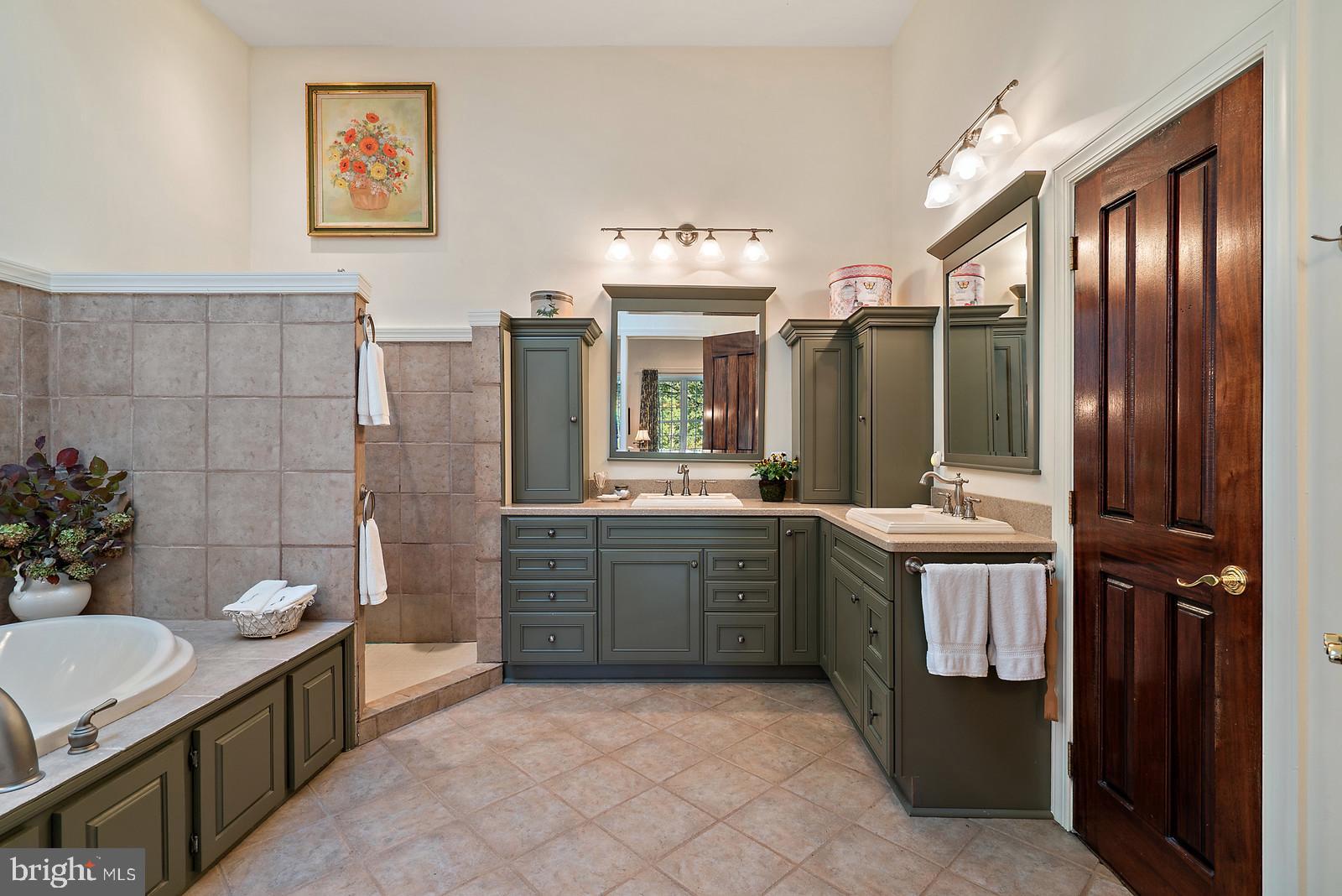 10634 Pleasant Vale Road Delaplane, VA 20144 - Photo 18 of 26 Updated Master Bath