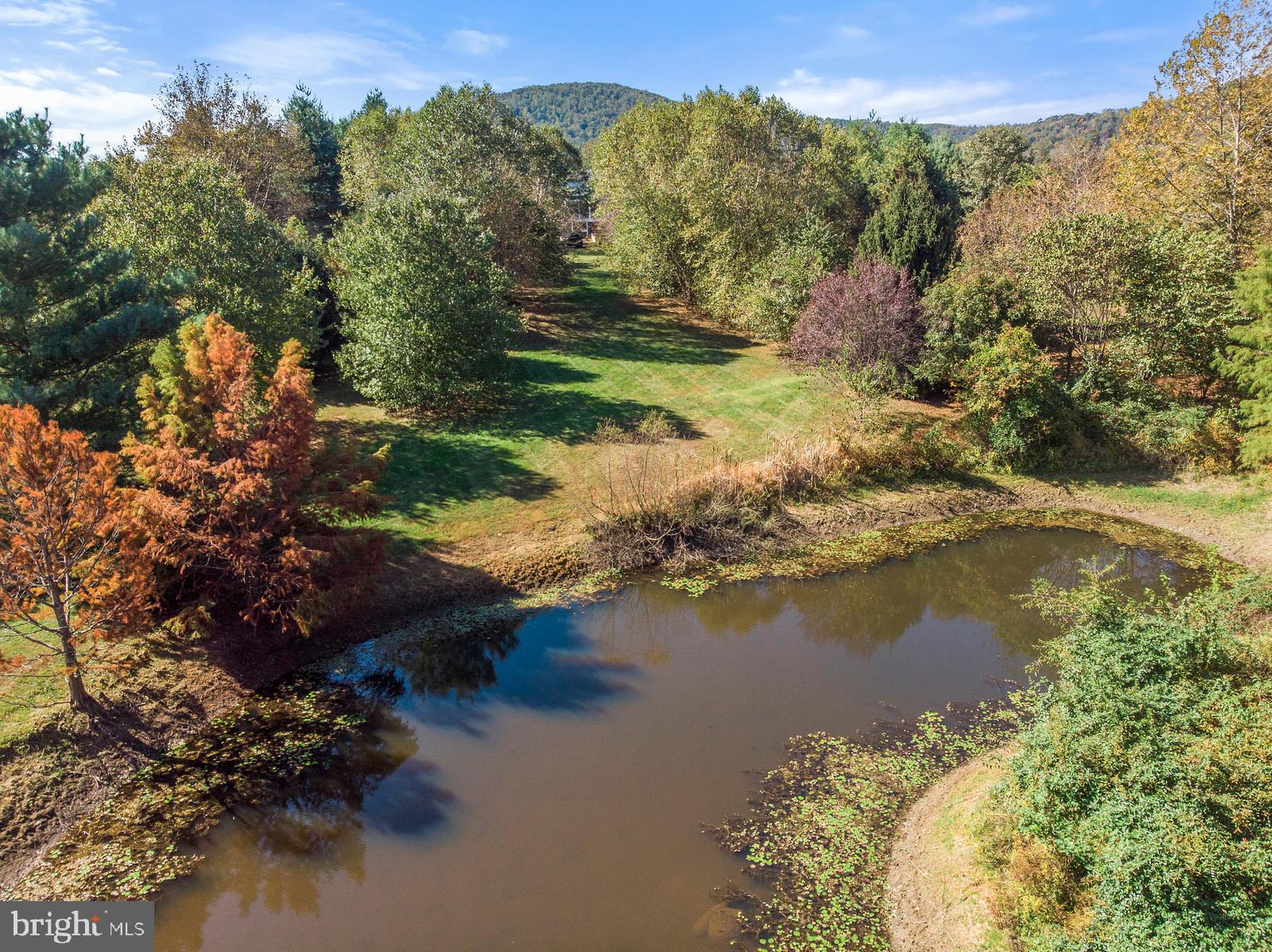 10634 Pleasant Vale Road Delaplane, VA 20144 - Photo 23 of 26 Your pond