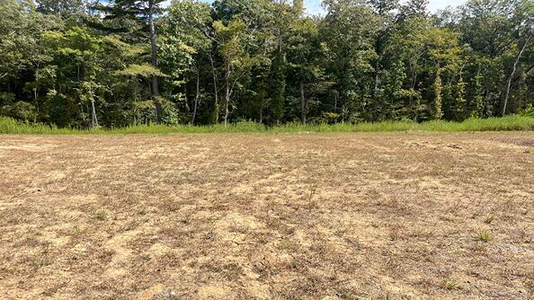 452 Tulip Poplar Drive Moncks Corner, SC 29461 - Photo 1 of 41 CG Dirt Lot 252