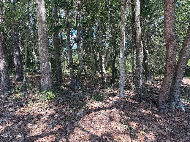 $7,900 | 0 Indiantown Road, Moss Point, MS 39562