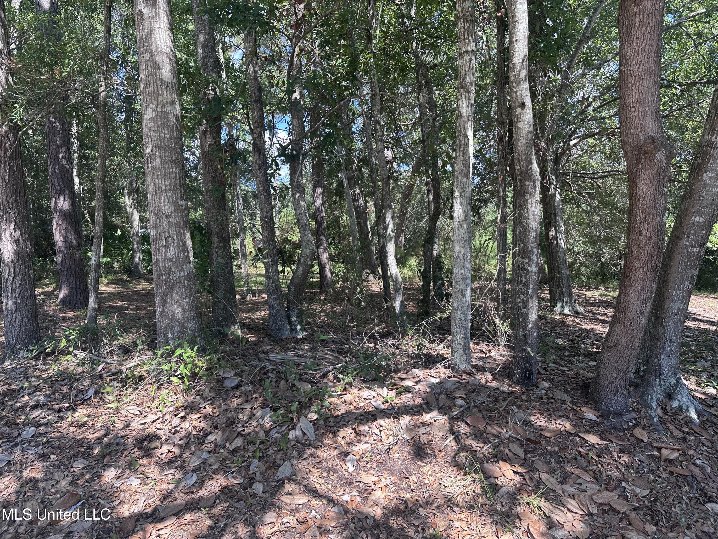 0 Indiantown Road Moss Point, MS 39562 - Photo 2 of 6 IMG_5630