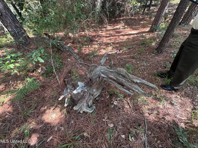 $7,900 | 0 Indiantown Road, Moss Point, MS 39562