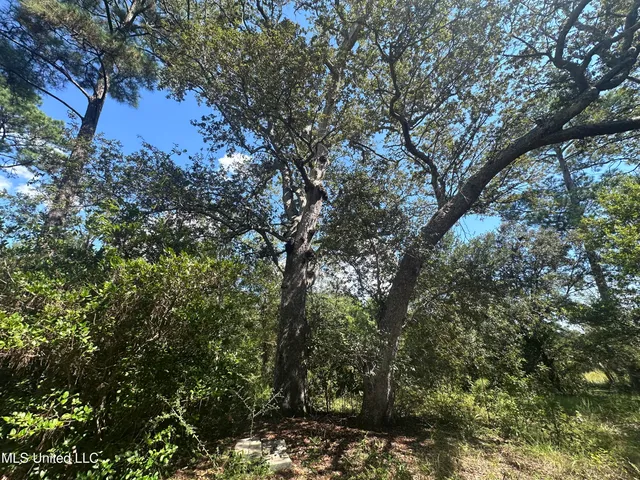 $7,900 | 0 Indiantown Road, Moss Point, MS 39562