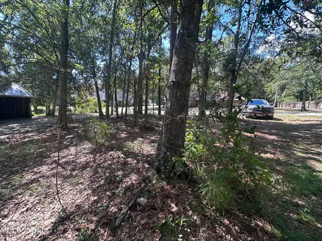 $7,900 | 0 Indiantown Road, Moss Point, MS 39562
