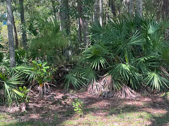 $7,900 | 0 Indiantown Road, Moss Point, MS 39562