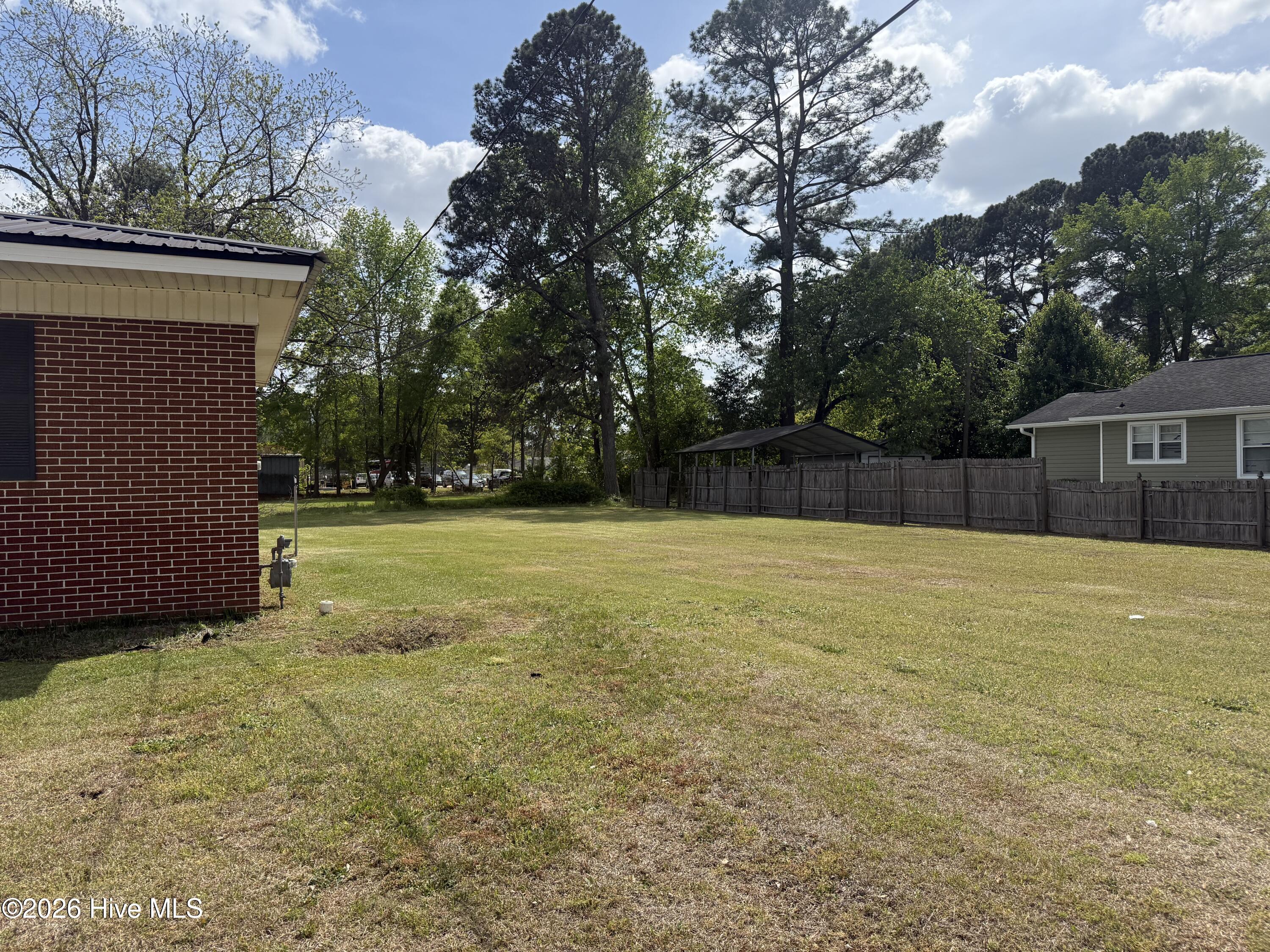 31 Abron Street Clinton, NC 28328 - Photo 3 of 29 Side yard
