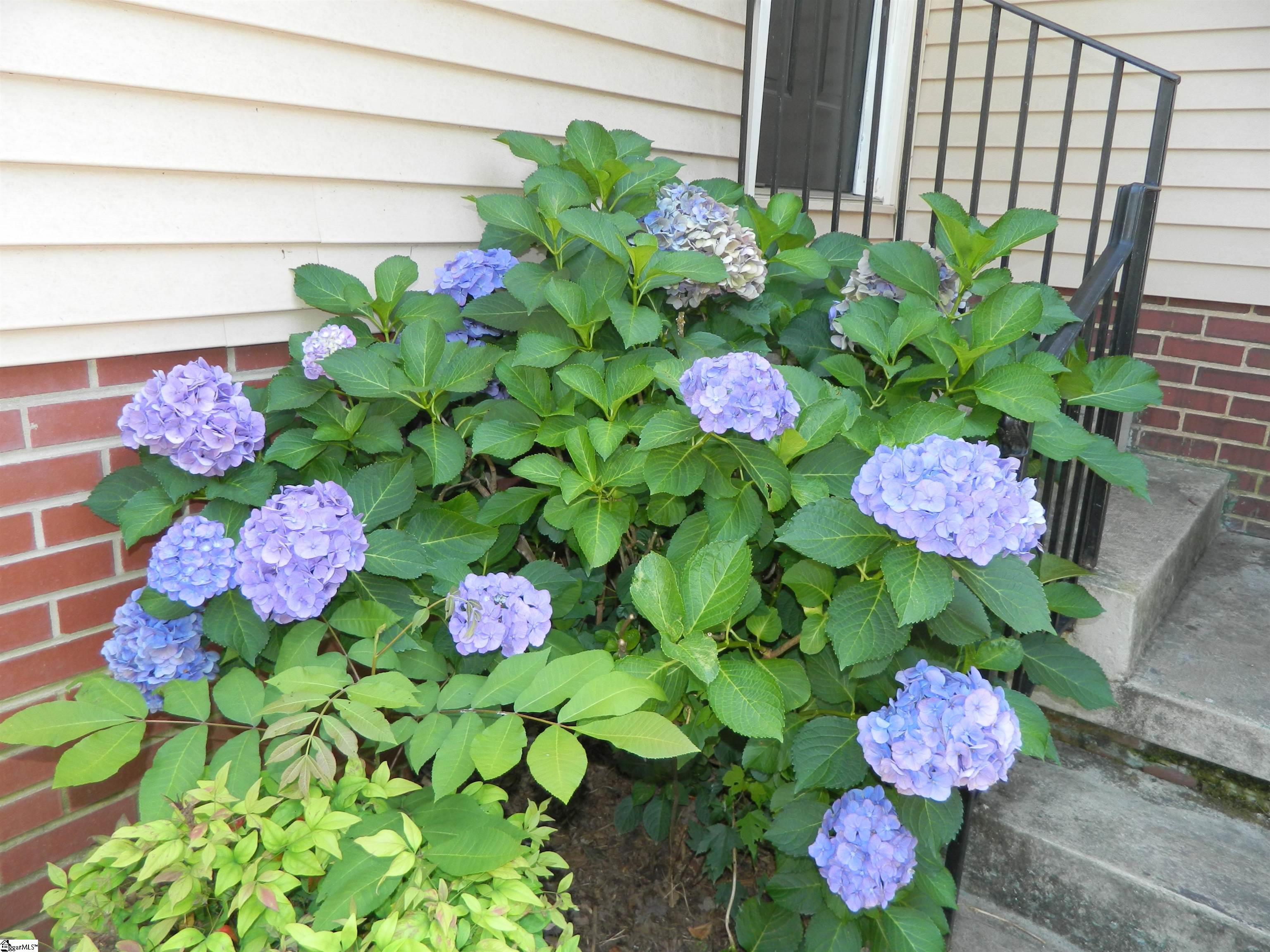 220 Moultrie Square Anderson, SC 29621 - Photo 38 of 45