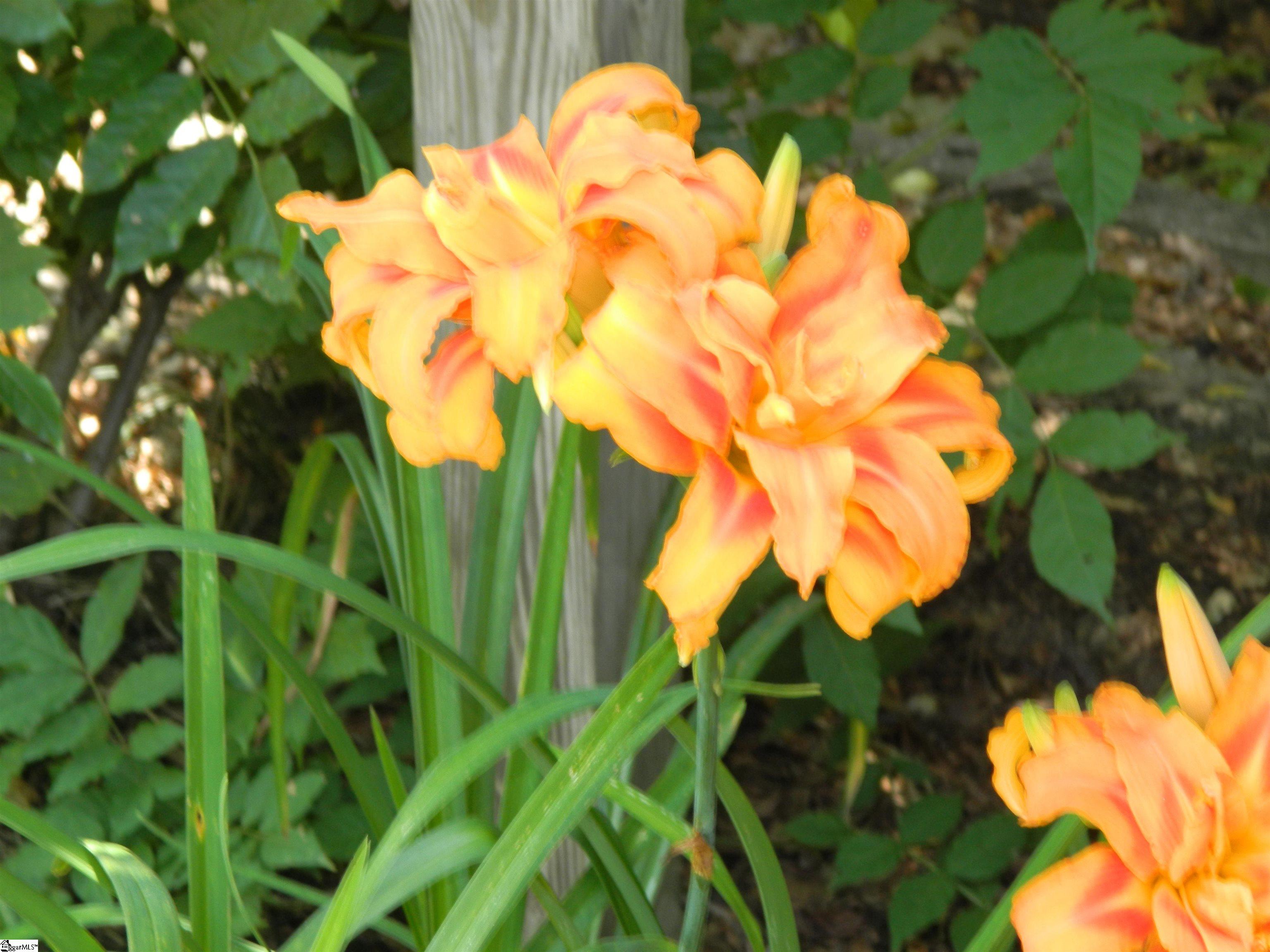 220 Moultrie Square Anderson, SC 29621 - Photo 42 of 45