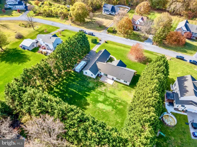 a view of a yard with a tree