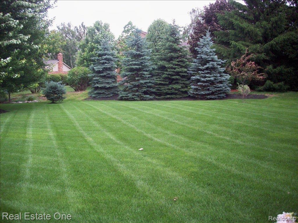 1290 Kingspath Drive Rochester, MI 48306 - Photo 6 of 25 backyard