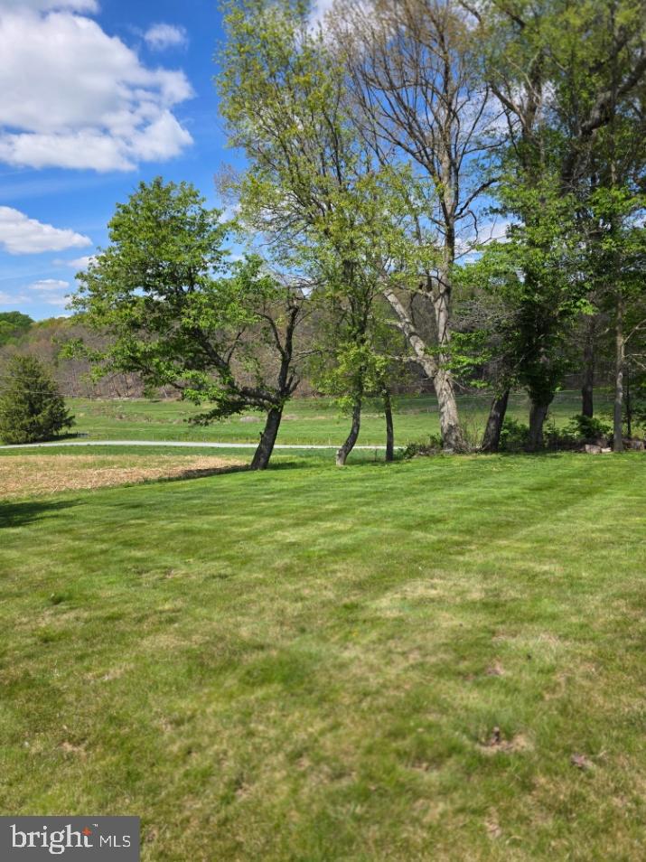 1420 Bollinger Road Westminster, MD 21157 - Photo 67 of 88 so peaceful looking