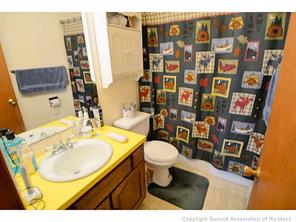 92 Alpine Road Dillon, CO 80435 - Photo 14 of 21 a bathroom with a sink toilet and shower