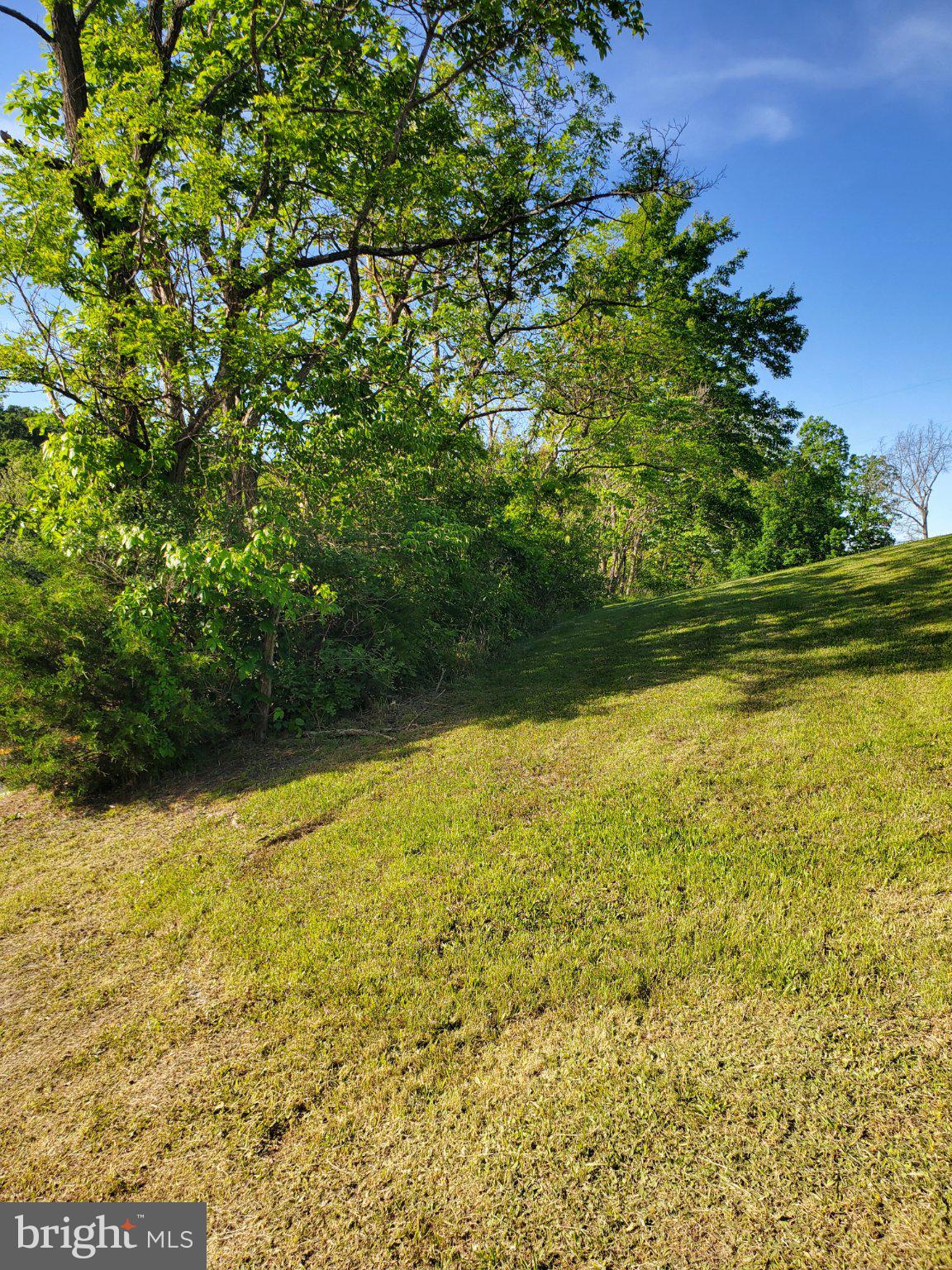 7881 Ford Hill Road Rio, WV 26755 - Photo 23 of 27 Lush greenery under a clear sky.