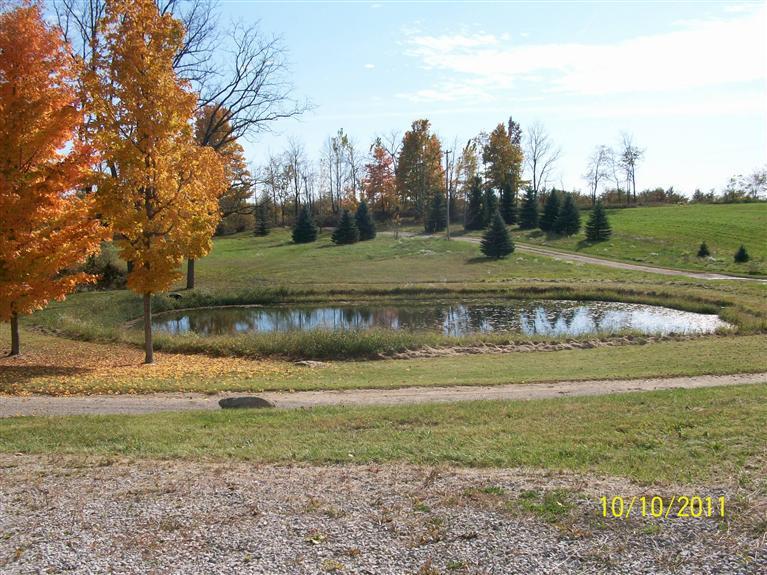 6782 West Burt Road Camden, MI 49232 - Photo 5 of 5 Additional Photo