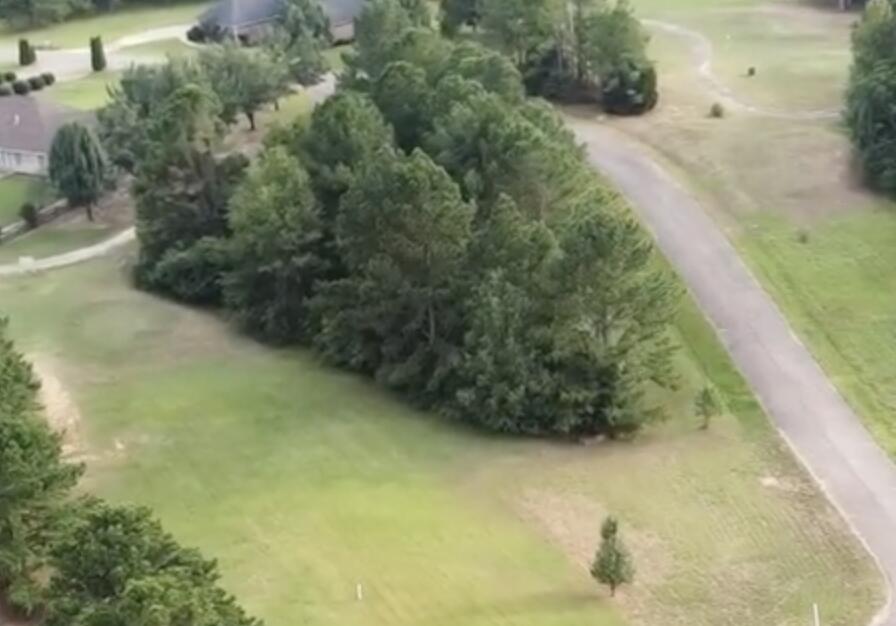 Lot 92 Riverbirch Phase V Amory, MS 38821 - Photo 5 of 6 Gallery Image 5