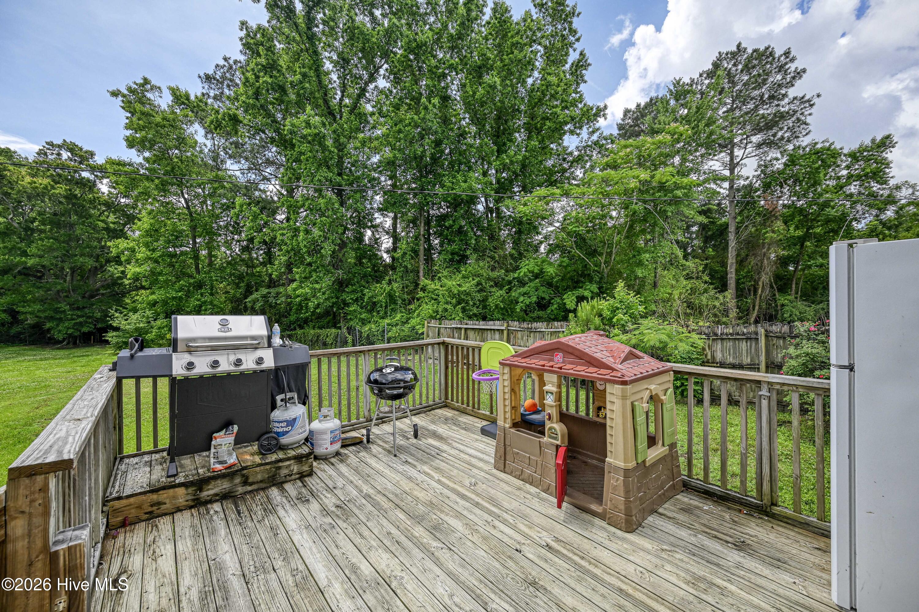 298 Comfort Road Richlands, NC 28574 - Photo 24 of 44 Back Deck 2
