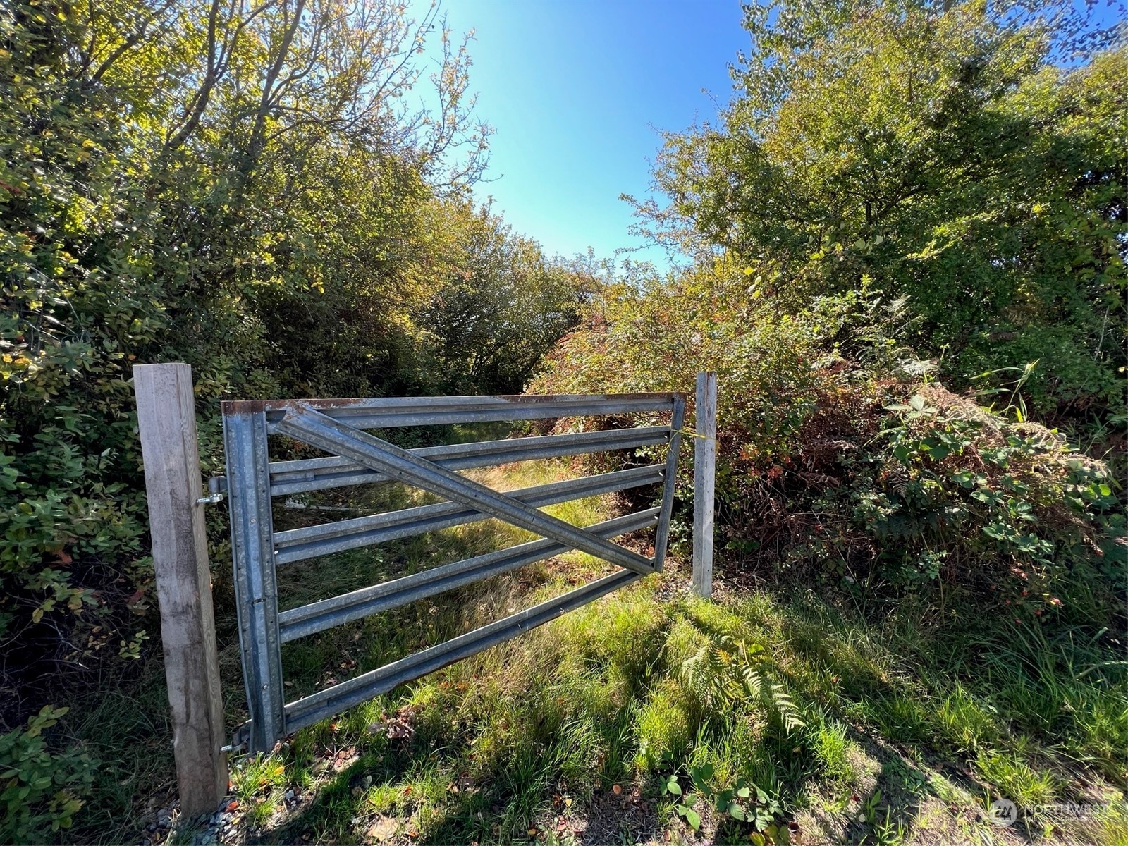 9 Peltier Drive Point Roberts, WA 98281 - Photo 1 of 13 a view of an outdoor space