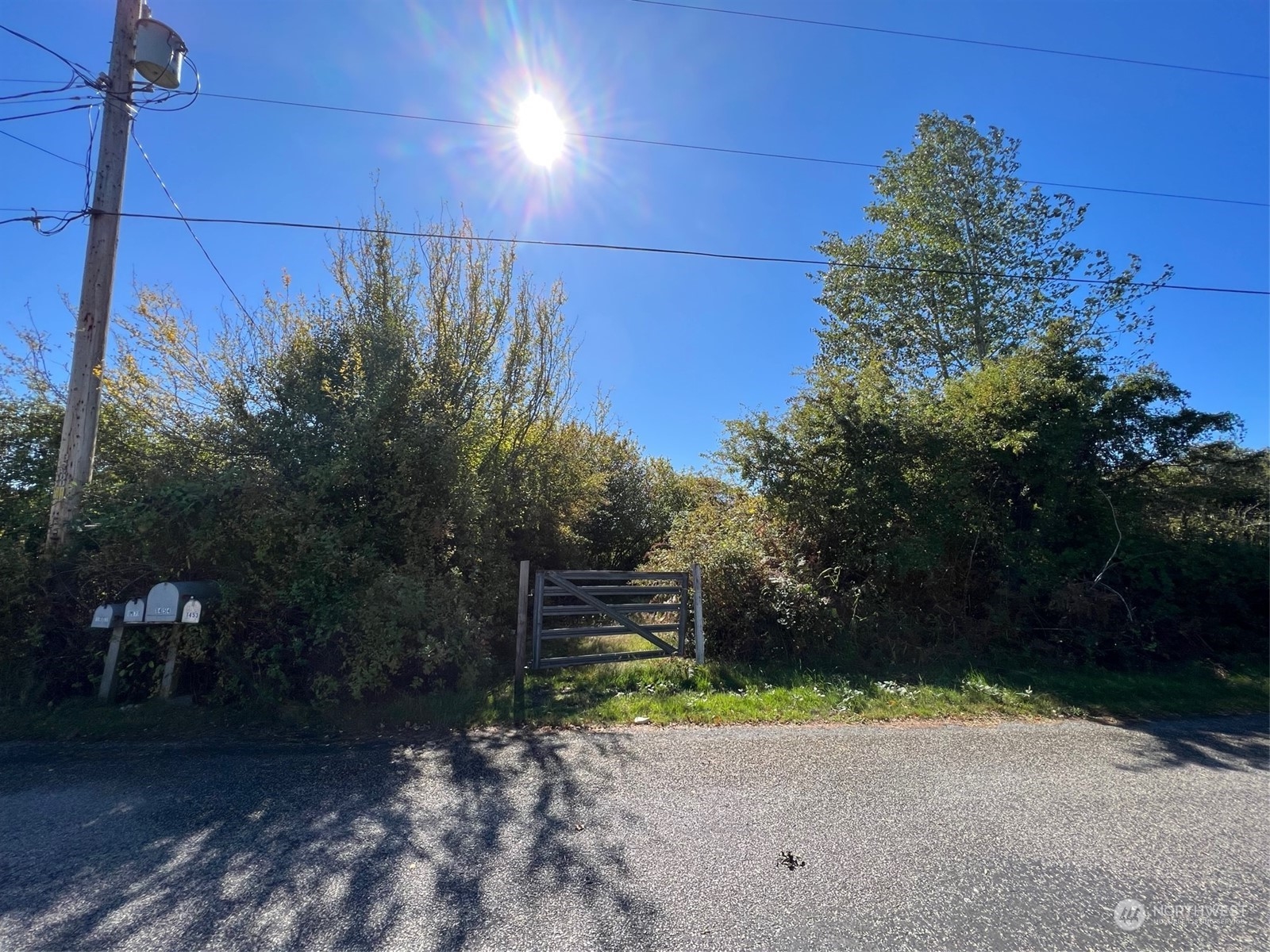 9 Peltier Drive Point Roberts, WA 98281 - Photo 13 of 13 a view of a street with some trees in the background