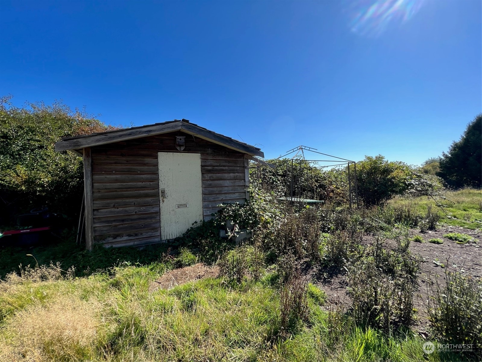 9 Peltier Drive Point Roberts, WA 98281 - Photo 3 of 13 a green field covered with trees in the background