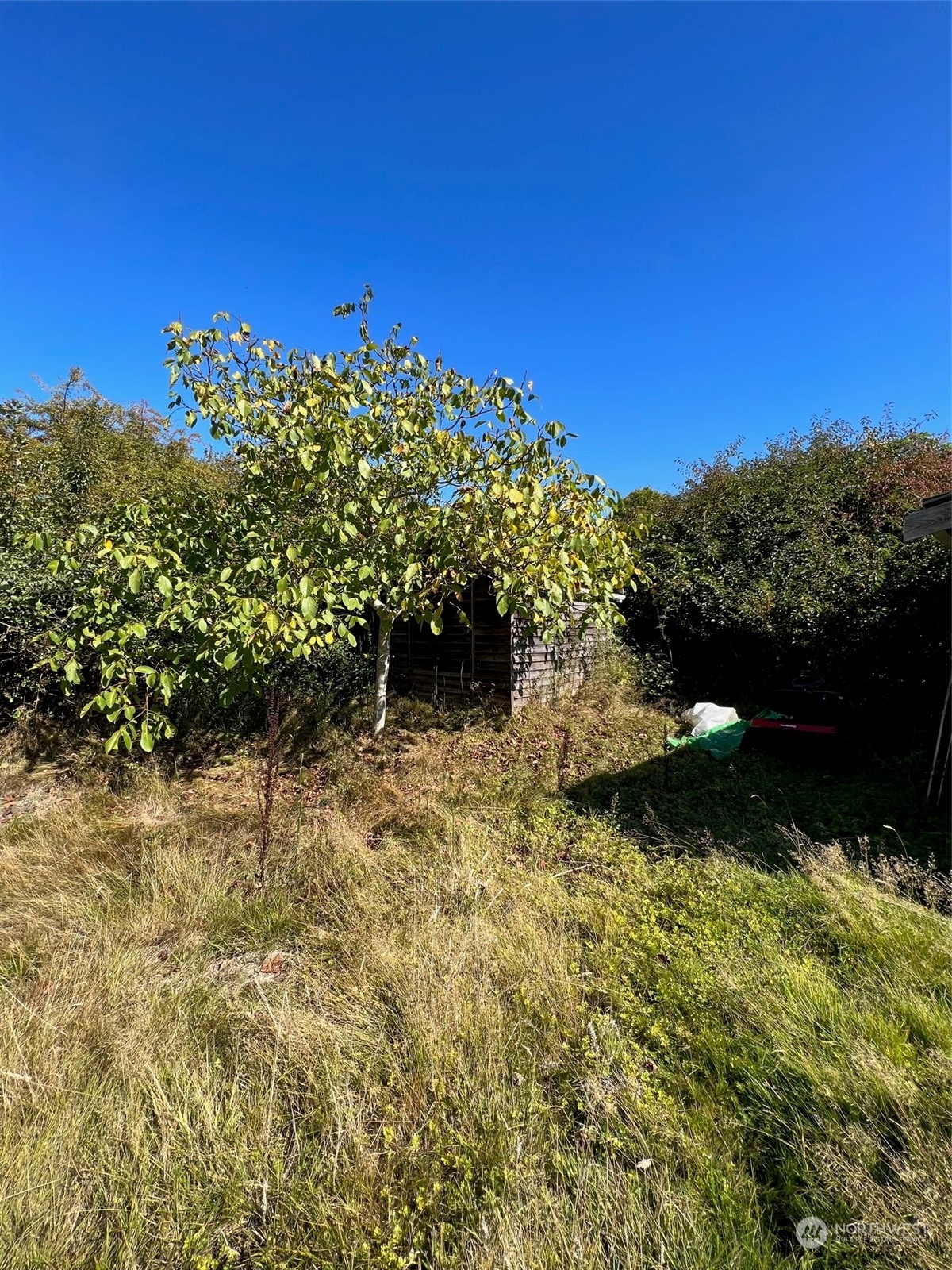 9 Peltier Drive Point Roberts, WA 98281 - Photo 4 of 13 a view of a yard