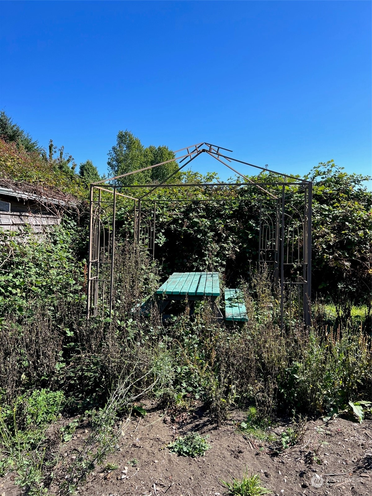 9 Peltier Drive Point Roberts, WA 98281 - Photo 5 of 13 a view of a backyard