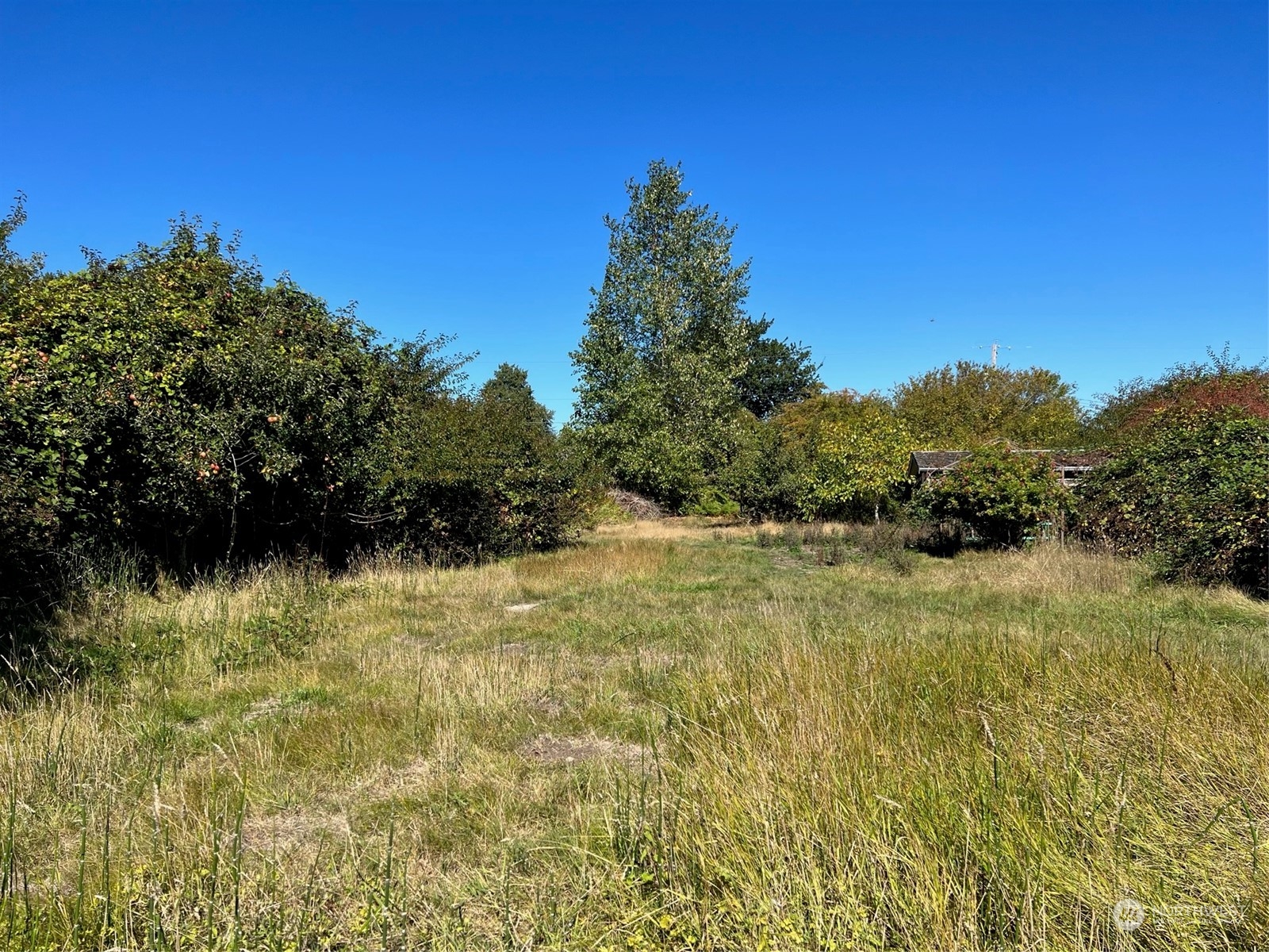 9 Peltier Drive Point Roberts, WA 98281 - Photo 8 of 13 a view of a lake view