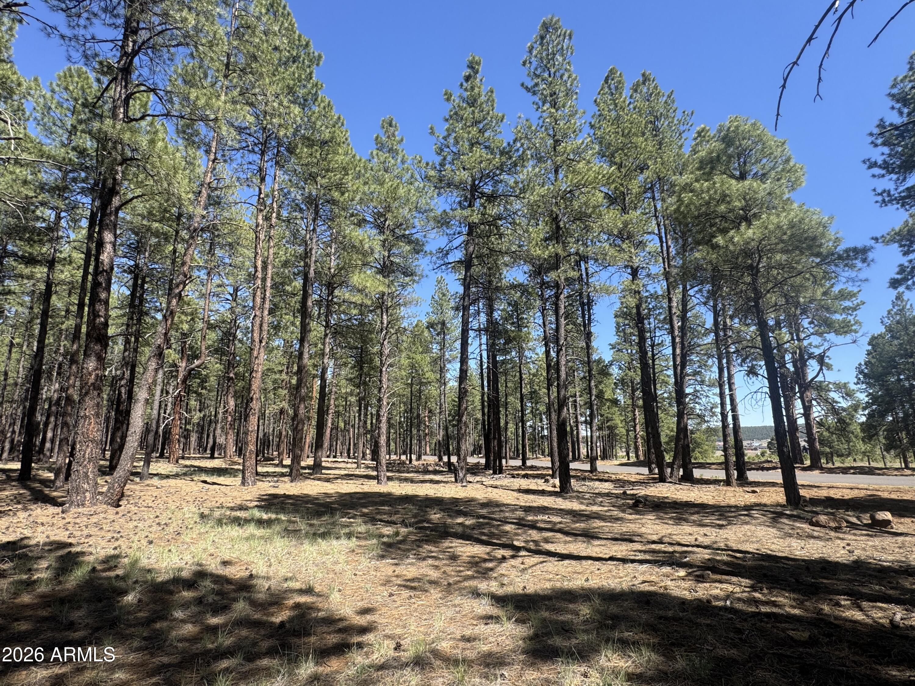 7690 Taylor Spring Lane, Unit 63 Flagstaff, AZ 86001 - Photo 5 of 7 a view of outdoor space with trees