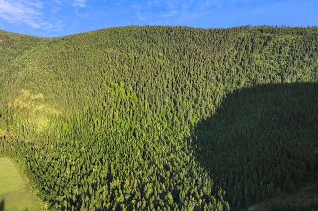 $1,950,000 | 4345 Wilcox Road, Northport, WA 99157