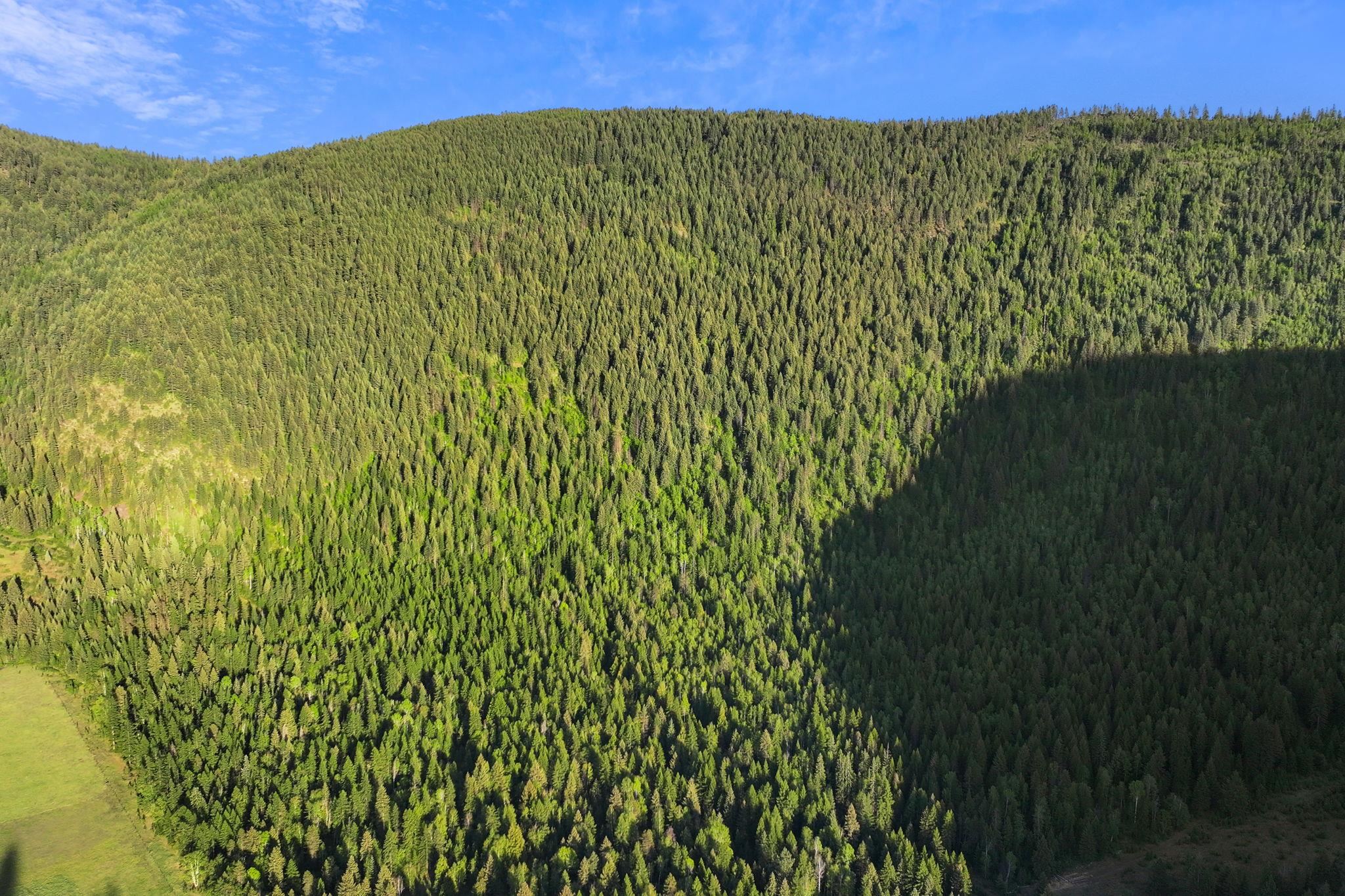 4345 Wilcox Road Northport, WA 99157 - Photo 18 of 40