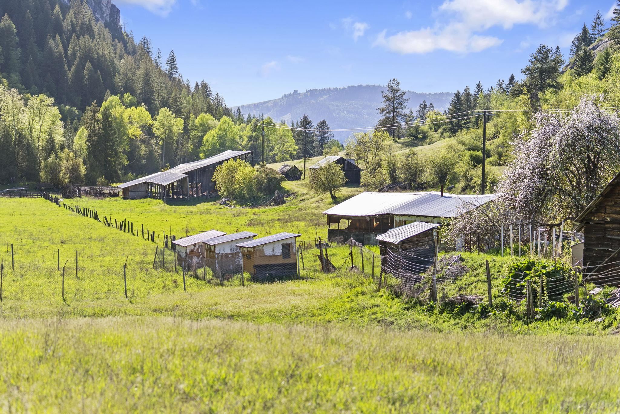 4345 Wilcox Road Northport, WA 99157 - Photo 33 of 40