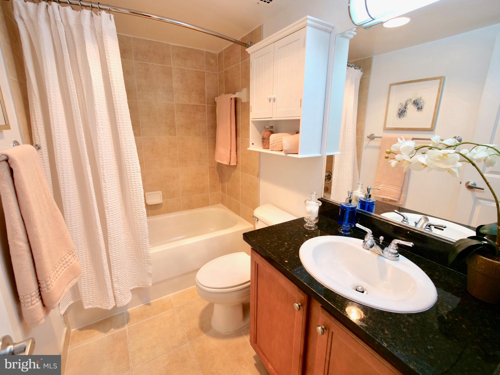 1220 Blair Mill Road, Unit 1408 Silver Spring, MD 20910 - Photo 7 of 12