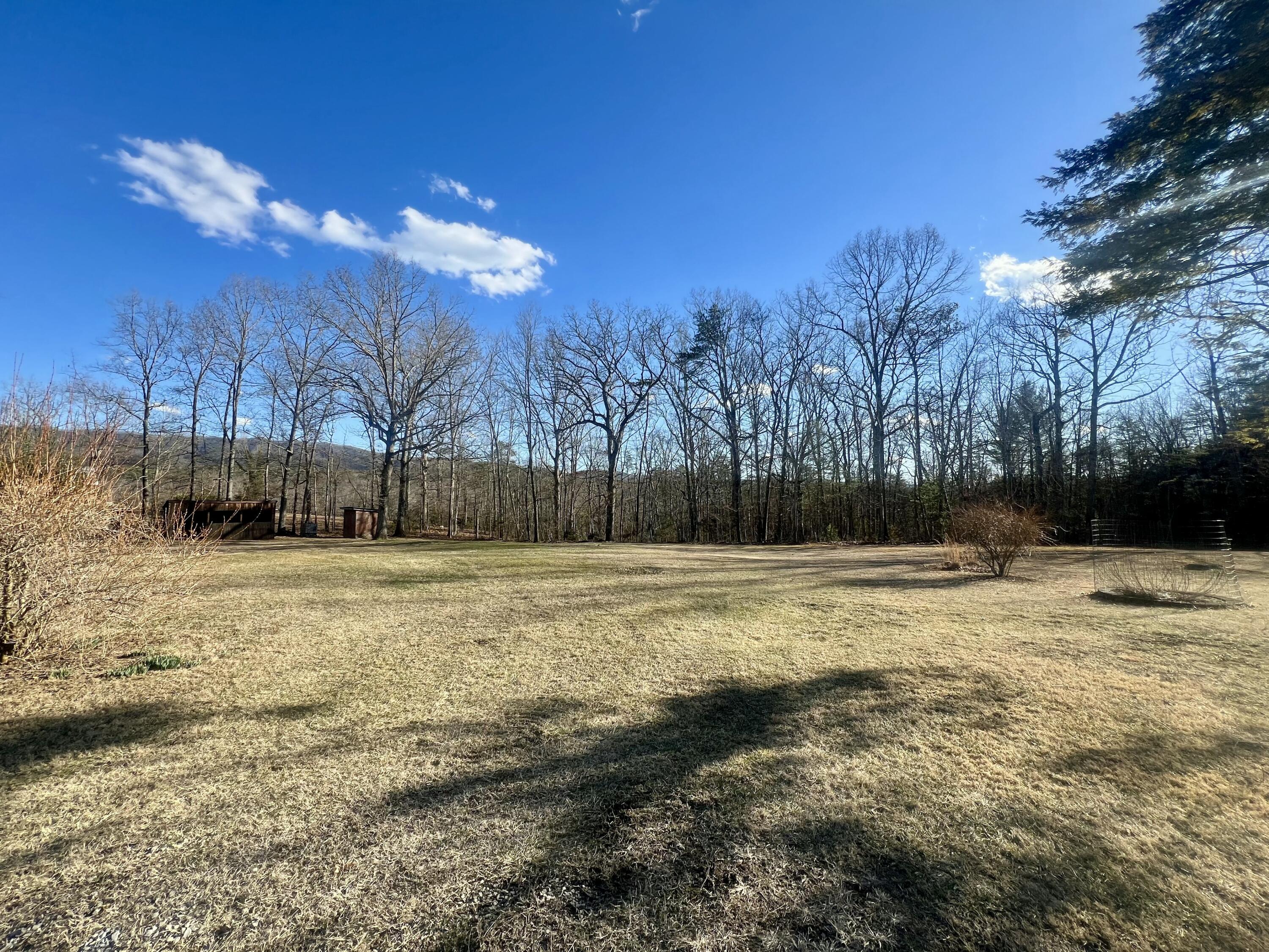 307 Virginia Mineral Springs Road New Castle, VA 24127 - Photo 3 of 45 a view of a yard with a large tree