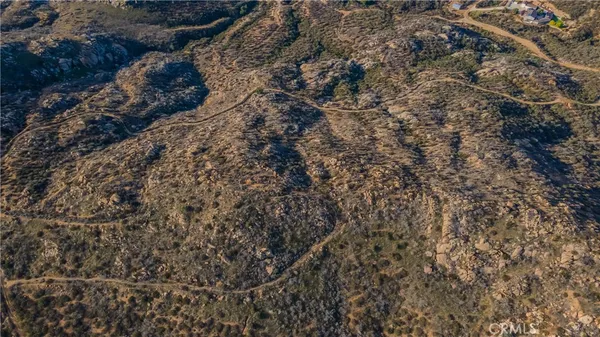 a view of a forest with a forest